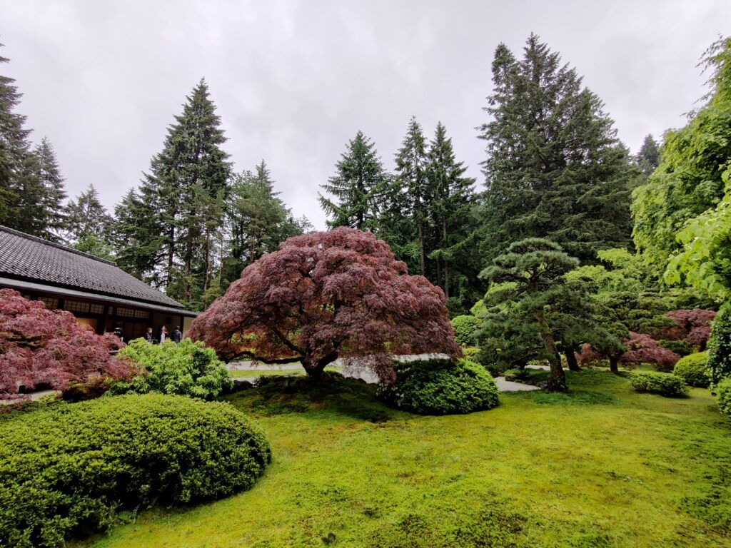 portland-japanese-garden-003