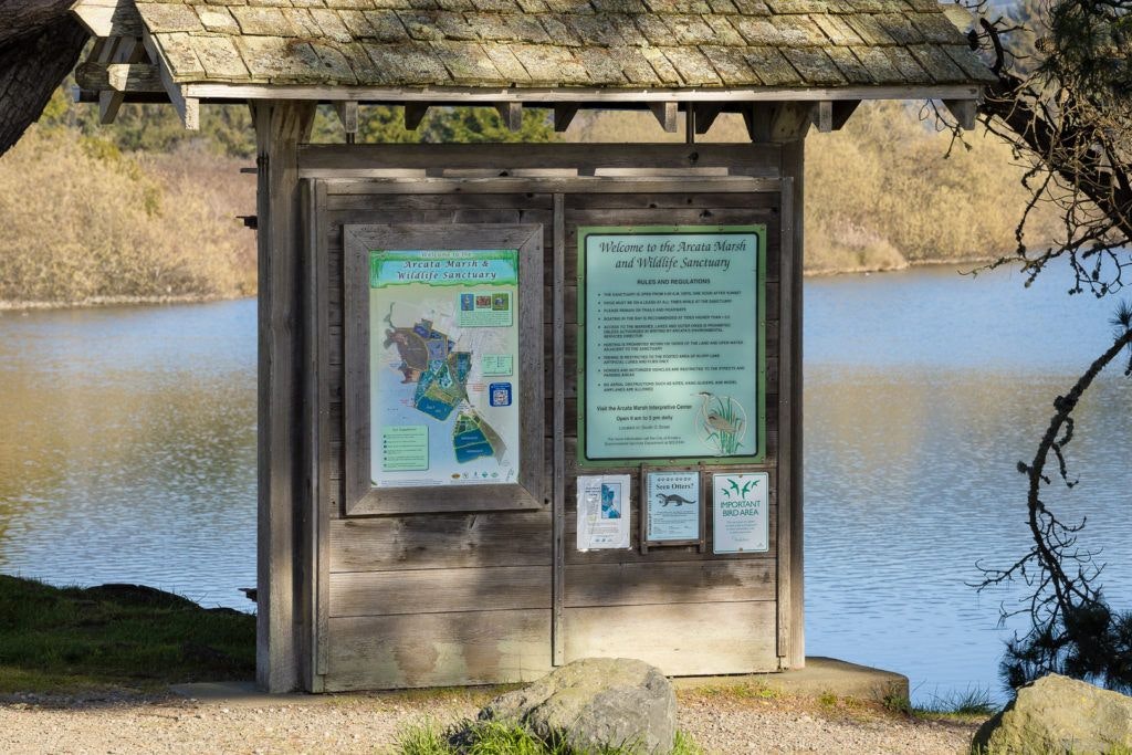 arcata-marsh-and-wildlife-sanctuary-011
