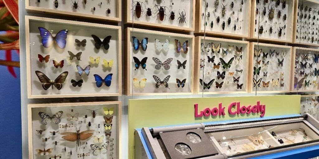 cook-museum-of-natural-science-003