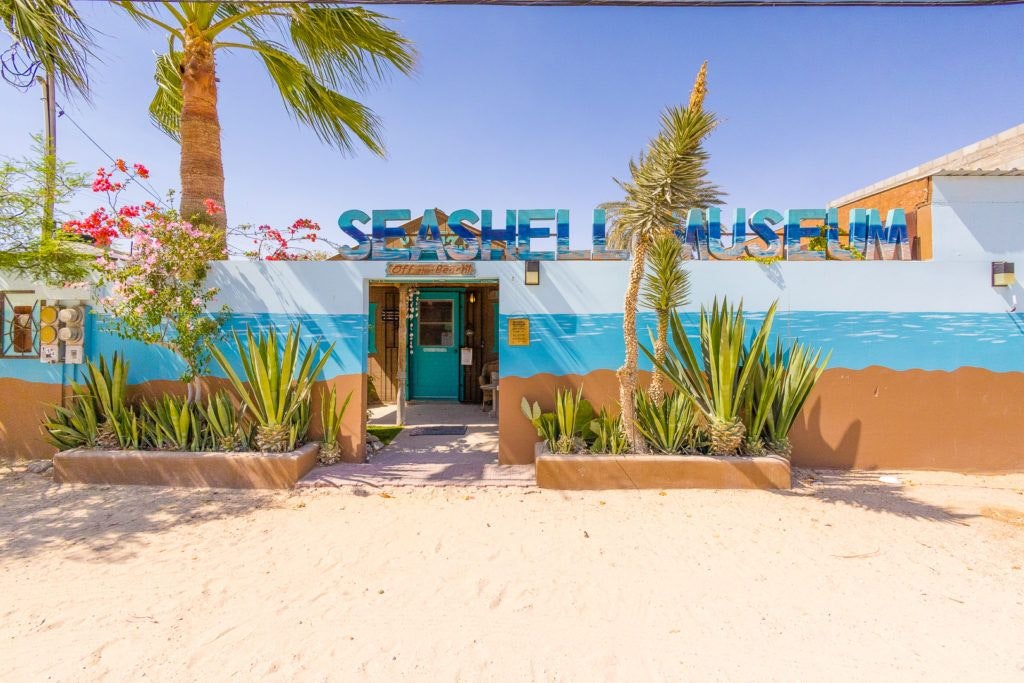 the-seashell-museum-and-sea-debris-shop-001