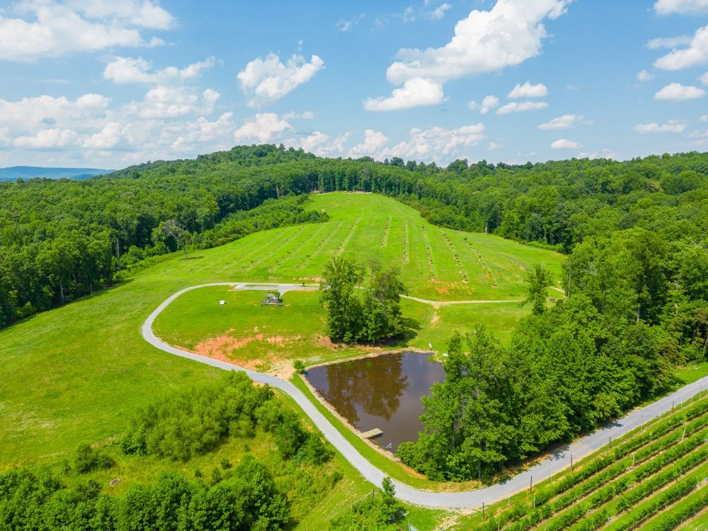 fables-and-feathers-winery-011