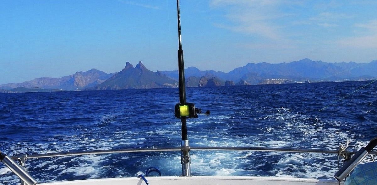 Fishing San Carlos 02.jpeg