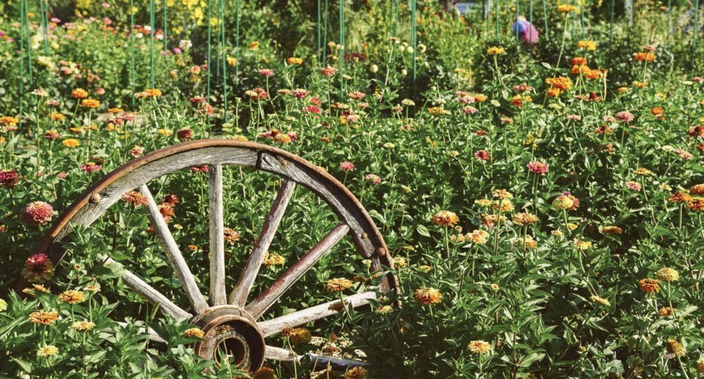 idaho-botanical-garden-004