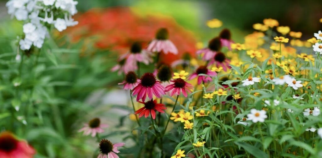 birmingham-botanical-garden-003