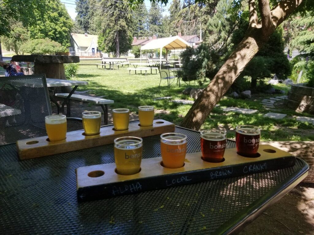 bonsai-brewing-project-004