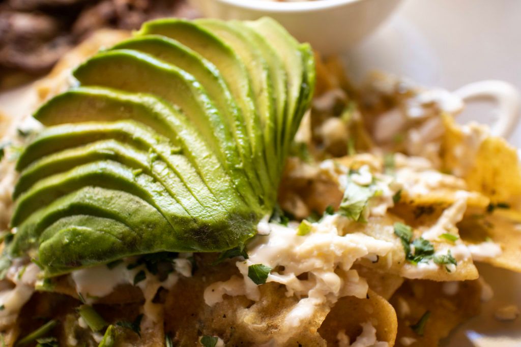 avocato-burrito-republic-cocina-creativa-017