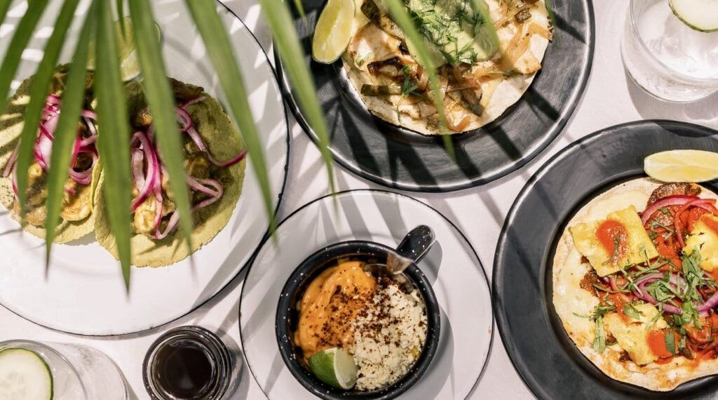 safari-comedor-zama-001