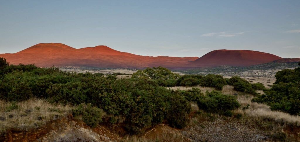 hakalau-forest-national-wildlife-refuge-001