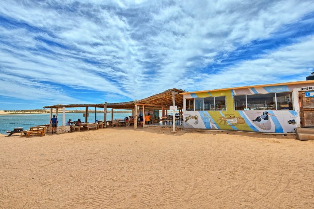el-barco-ostionera-y-restaurante-oyster-farm-018