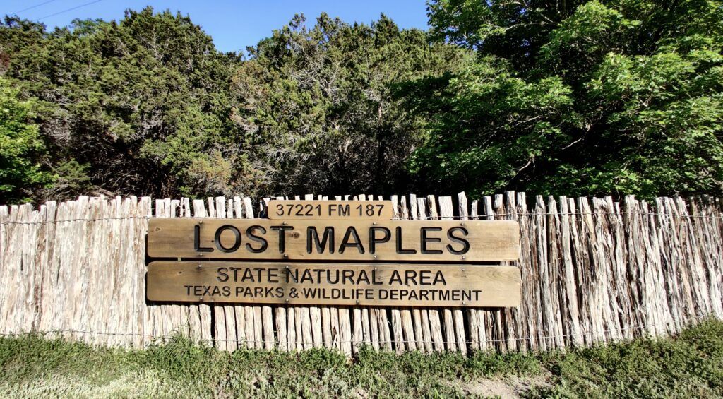 Lost Maples State Natural Park