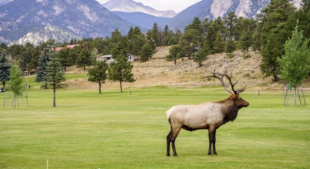 lake-estes-trail-003