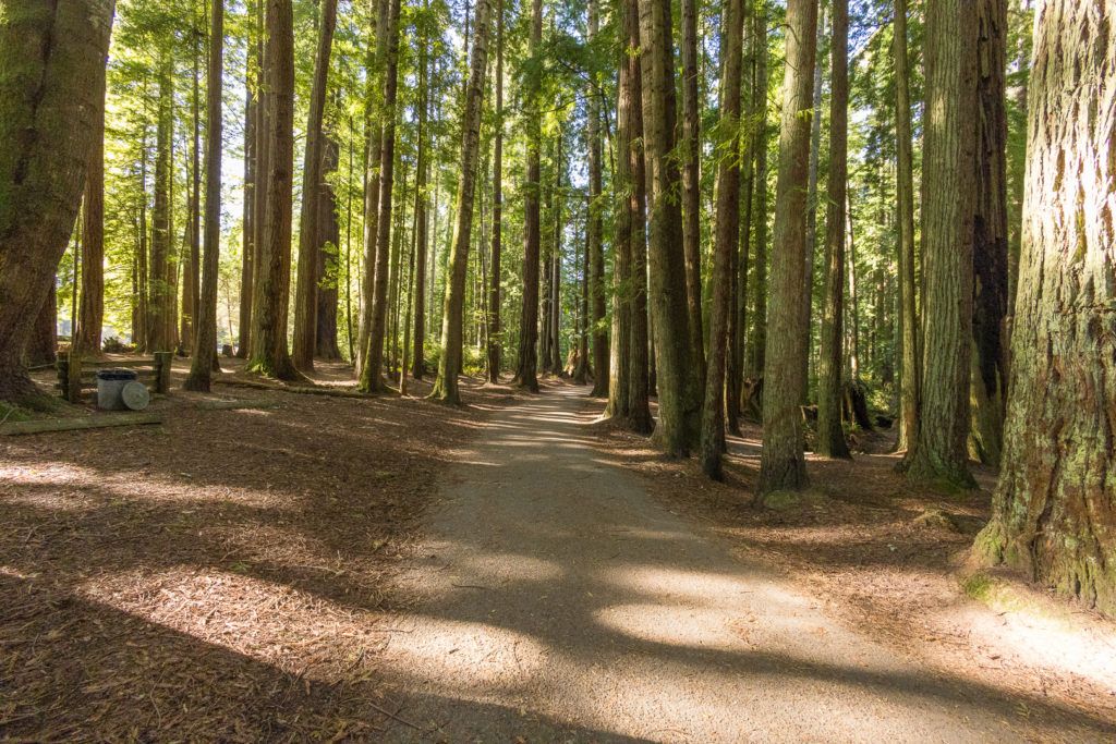 sequoia-park-garden-011