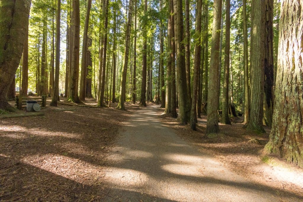 sequoia-park-garden-011