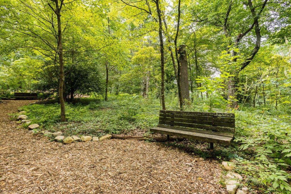 mill-mountain-wildflower-garden-012