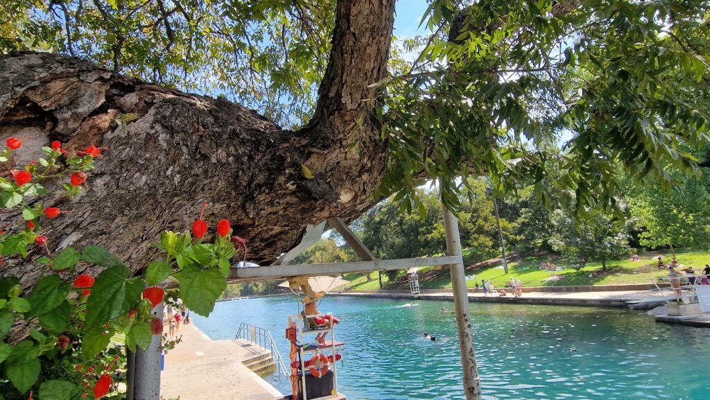 Barton Springs Municipal Pool