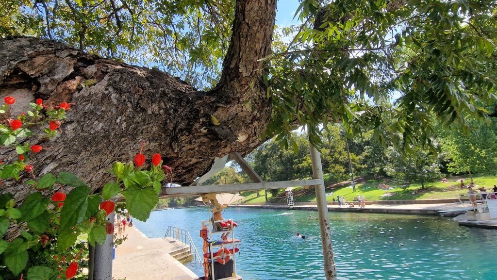 barton-springs-municipal-pool-001