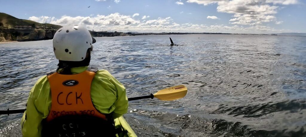 central-coast-kayaks-004