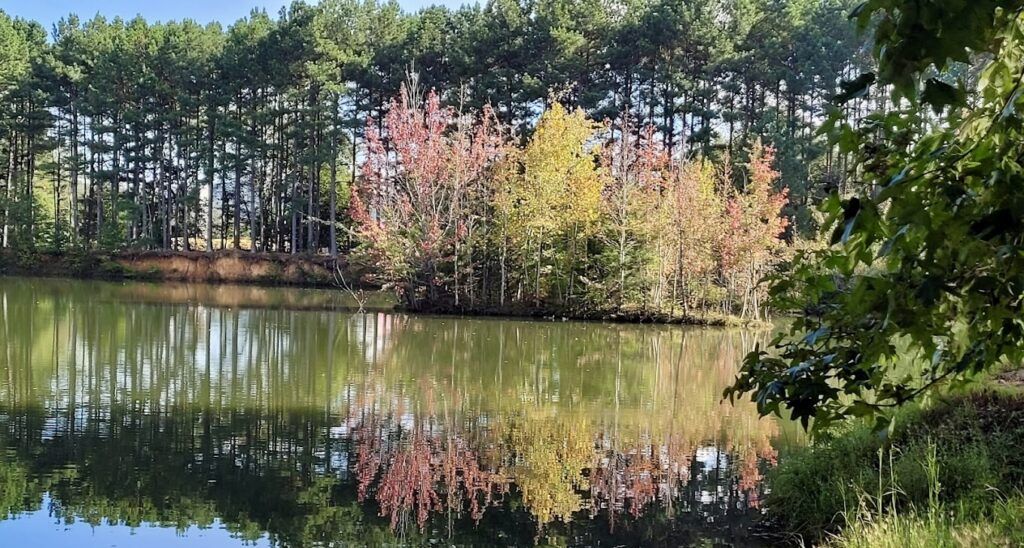 j-d-and-annie-s-hays-nature-preserve-003