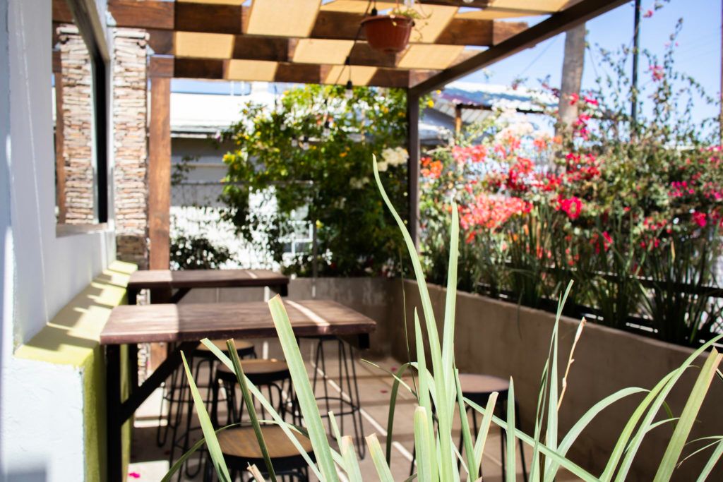 avocato-burrito-republic-cocina-creativa-027