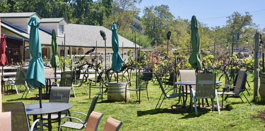 kelsey-see-canyon-vineyards-004