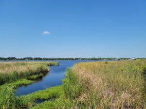 Hugh S. Branyon Backcountry Trail