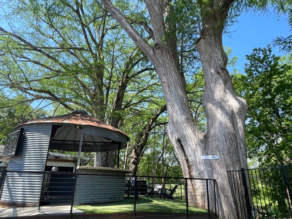 wimberley-square-003