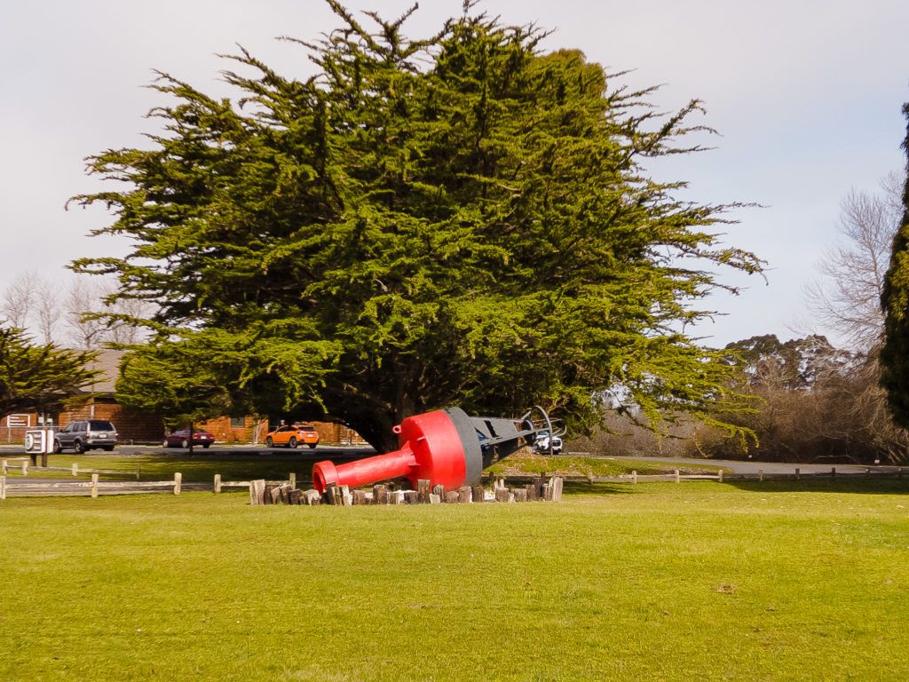 woodley-island-marina-016