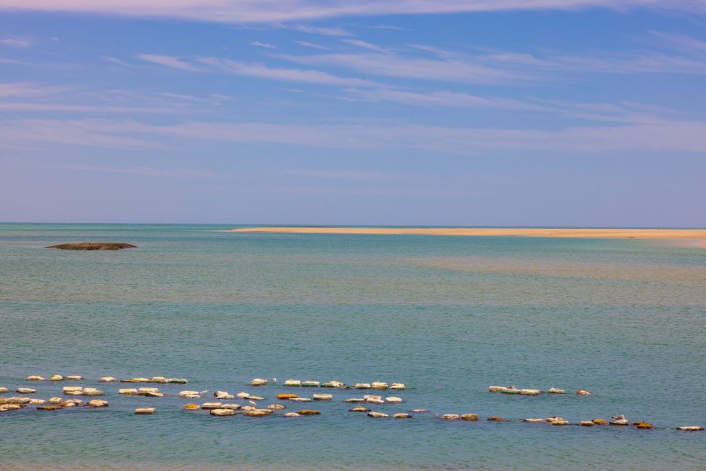 el-barco-ostionera-y-restaurante-oyster-farm-005