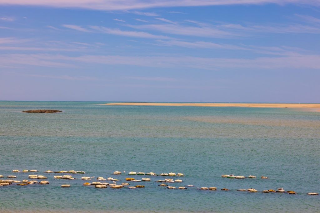 el-barco-ostionera-y-restaurante-oyster-farm-005