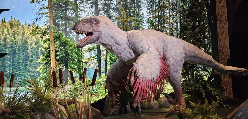 mosh-museum-of-science-and-history-003