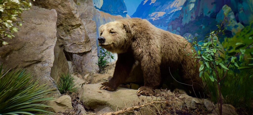 santa-barbara-museum-of-natural-history-004