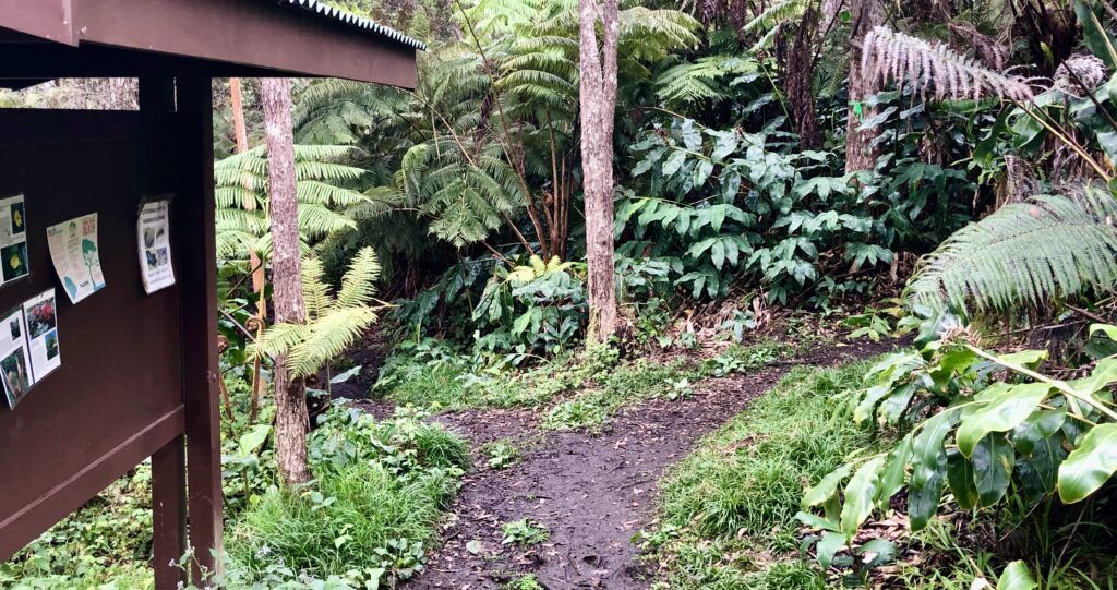 makahi-st-trailhead-004