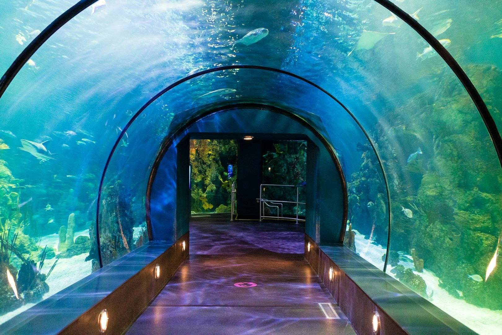 18-best-things-to-do-in-galveston-tx-hero