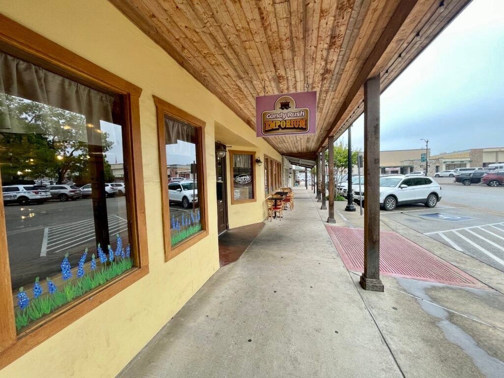 trailblazer-grille-003