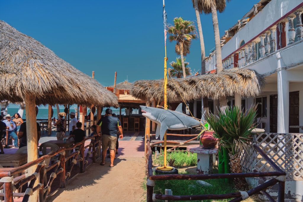 pitaya-bar-and-restaurant-006