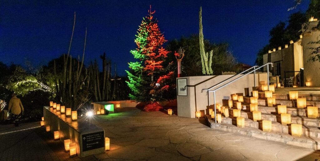 desert-botanical-garden-004