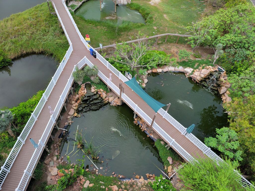 south-padre-island-birding-and-nature-center-003
