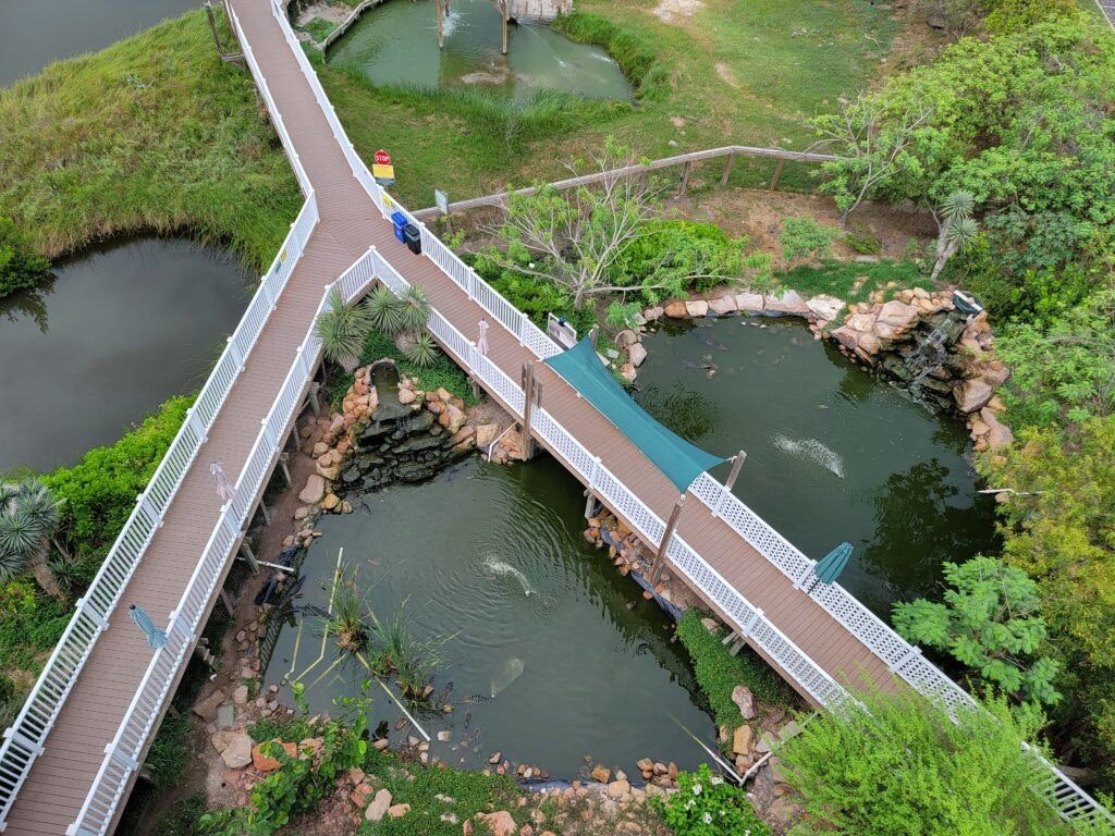 south-padre-island-birding-and-nature-center-003