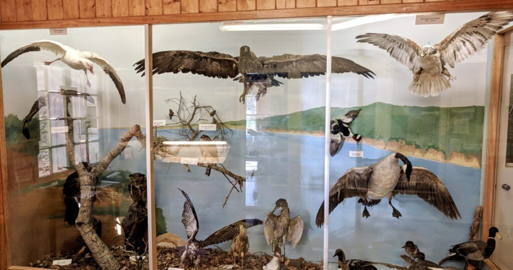 neal-taylor-nature-center-003