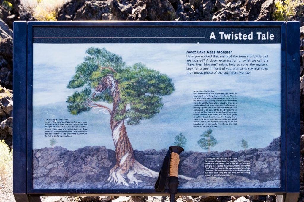 lava-butte-and-lands-visitor-center-027