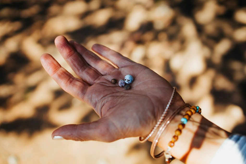 red-rock-western-jeep-tours-003