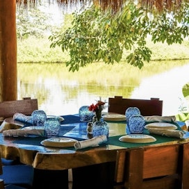 The Blue Shrimp Nuevo Vallarta