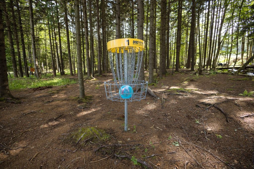 fairy-diddle-disc-golf-007