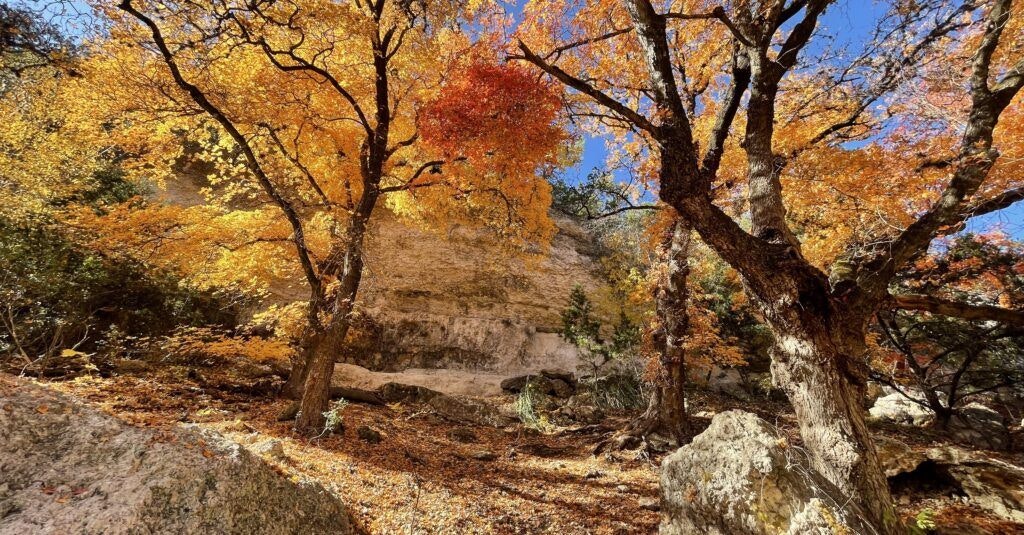 lost-maples-state-natural-park-003