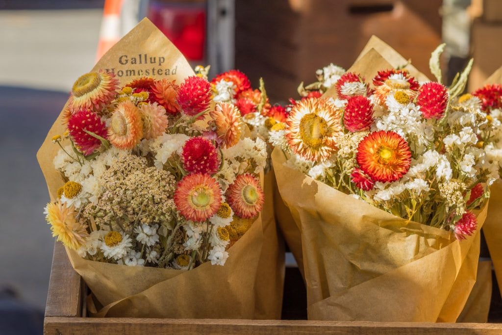 arcata-plaza-farmer-s-market-017