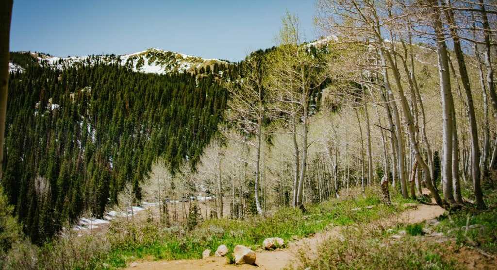 bloods-lake-trail-003