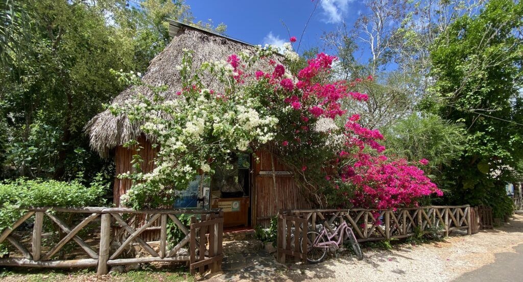 yokdzonot-cenote-002