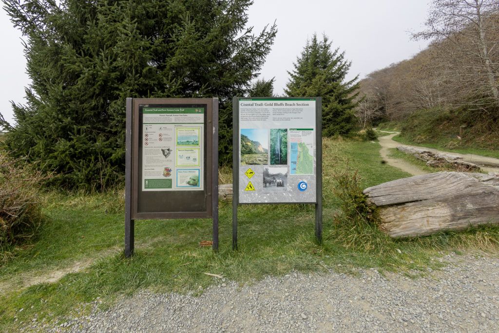 fern-canyon-inside-prairie-creek-redwoods-state-park-007