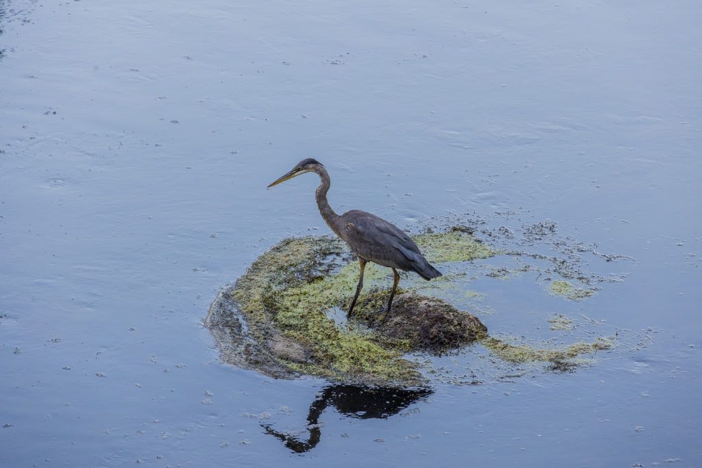 smith-rock-state-park-050