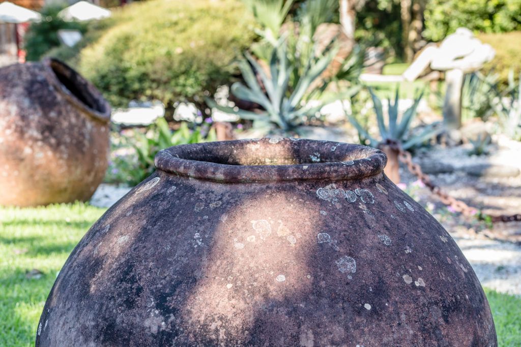 fountain-of-youth-archaeological-park-012